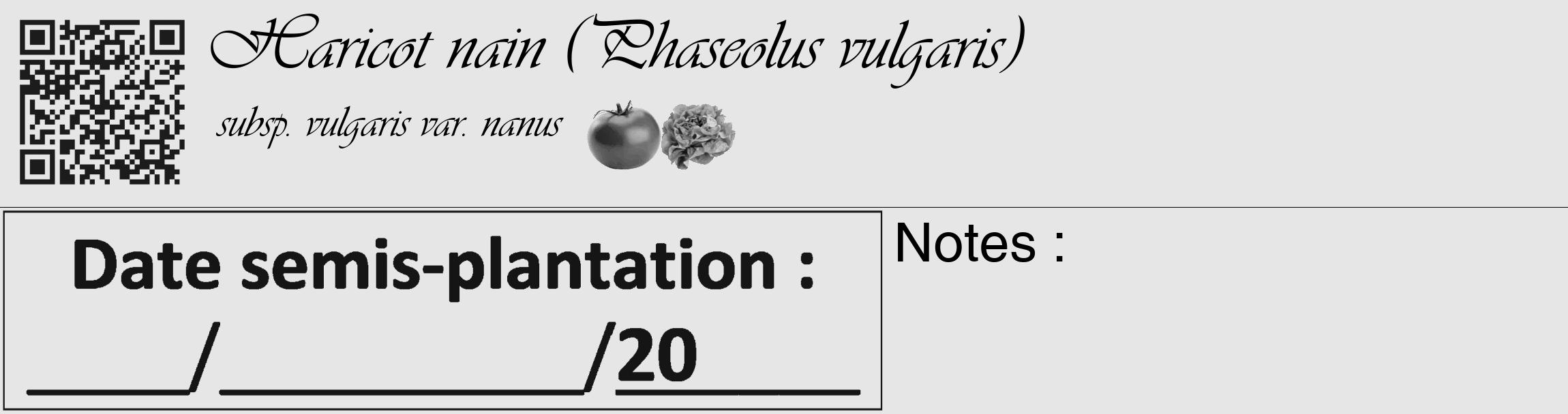 Étiquette de : Phaseolus vulgaris subsp. vulgaris var. nanus - format c - style noire18_basique_basiqueviv avec qrcode et comestibilité simplifiée