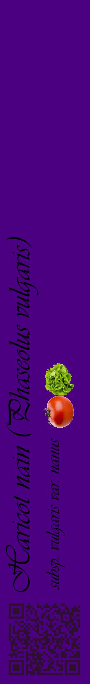 Étiquette de : Phaseolus vulgaris subsp. vulgaris var. nanus - format c - style noire47_basiqueviv avec qrcode et comestibilité simplifiée