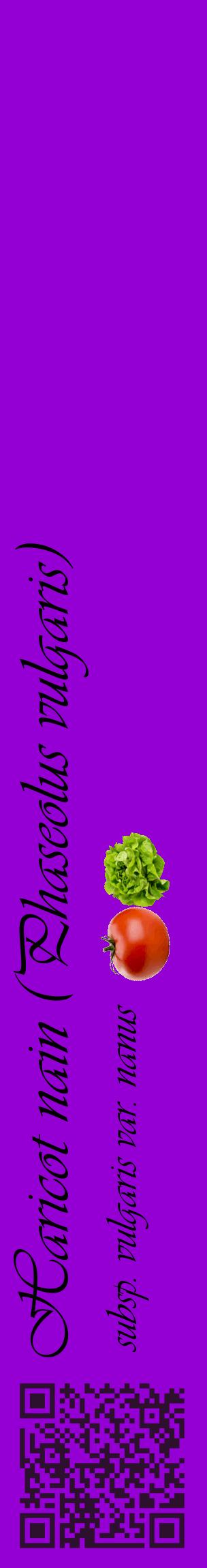 Étiquette de : Phaseolus vulgaris subsp. vulgaris var. nanus - format c - style noire48_basiqueviv avec qrcode et comestibilité simplifiée