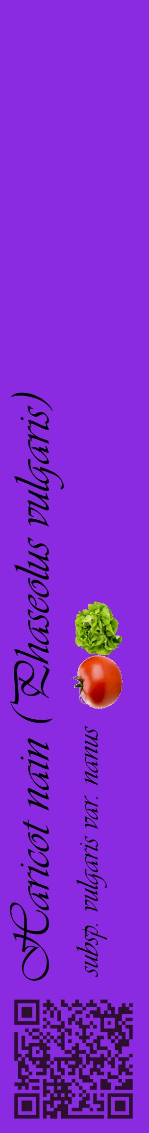 Étiquette de : Phaseolus vulgaris subsp. vulgaris var. nanus - format c - style noire49_basiqueviv avec qrcode et comestibilité simplifiée