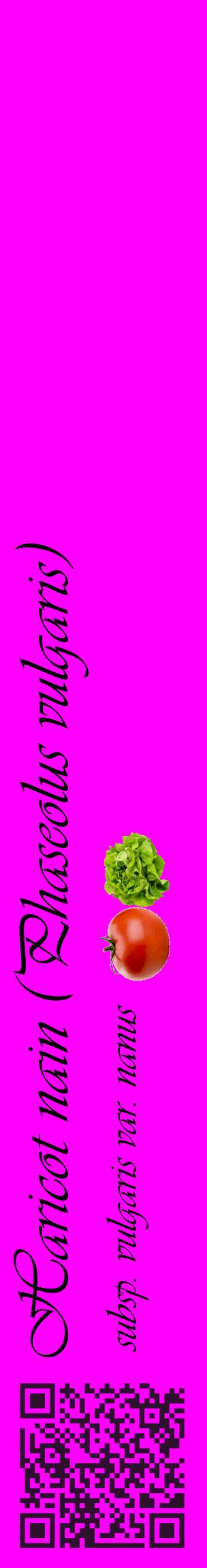 Étiquette de : Phaseolus vulgaris subsp. vulgaris var. nanus - format c - style noire51_basiqueviv avec qrcode et comestibilité simplifiée