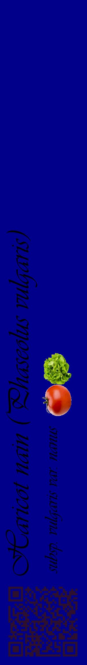 Étiquette de : Phaseolus vulgaris subsp. vulgaris var. nanus - format c - style noire7_basiqueviv avec qrcode et comestibilité simplifiée
