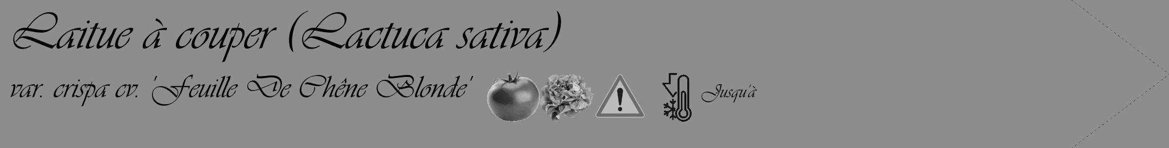 Étiquette de : Lactuca sativa var. crispa cv. 'Feuille De Chêne Blonde' - format c - style noire2_simple_simpleviv avec comestibilité simplifiée