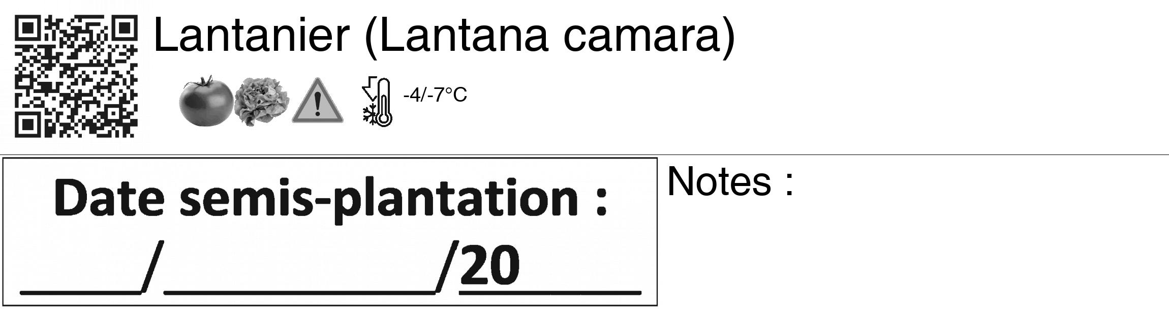 Étiquette de : Lantana camara - format c - style noire60_basiquegrrvhel avec qrcode et comestibilité simplifiée