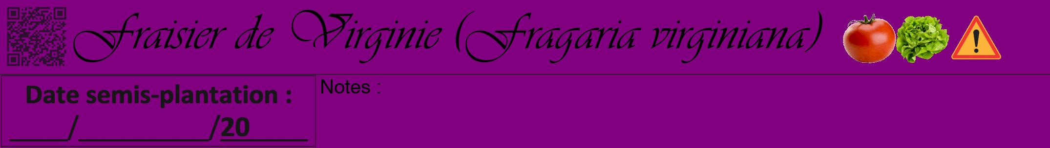 Étiquette de : Fragaria virginiana - format a - style noire46simpleviv avec qrcode et comestibilité simplifiée