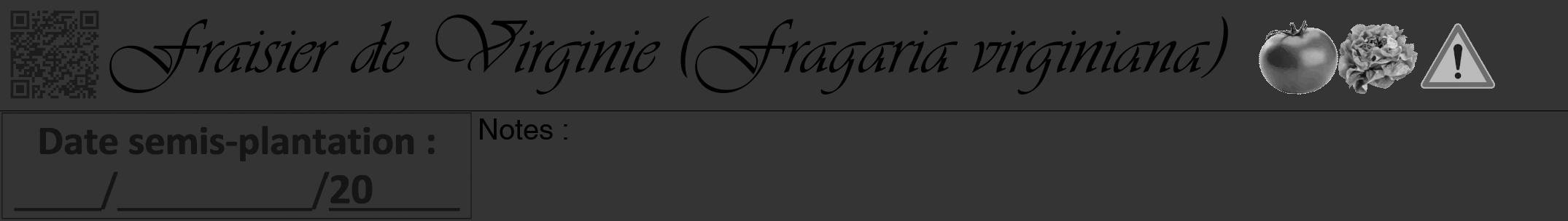 Étiquette de : Fragaria virginiana - format a - style noire46simpleviv avec qrcode et comestibilité simplifiée
