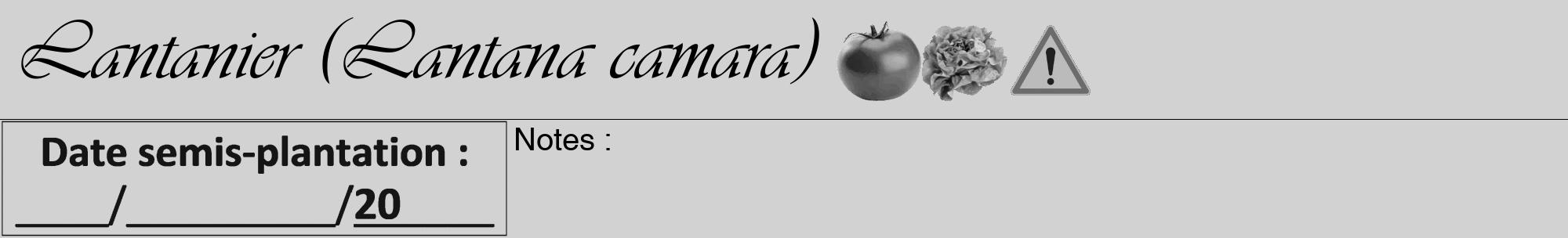 Étiquette de : Lantana camara - format a - style noire14viv avec comestibilité simplifiée