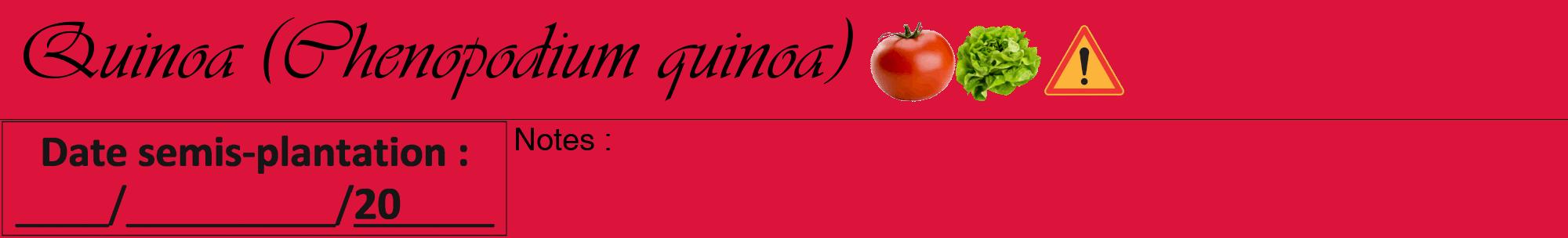 Étiquette de : Chenopodium quinoa - format a - style noire36viv avec comestibilité simplifiée