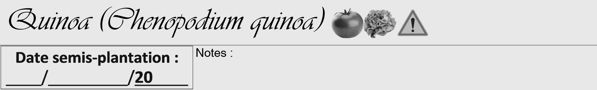 Étiquette de : Chenopodium quinoa - format a - style noire55basiqueviv avec comestibilité simplifiée