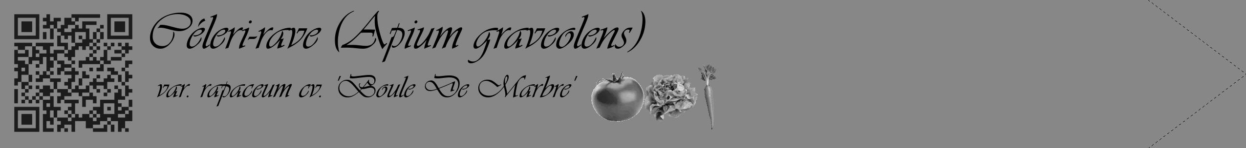 Étiquette de : Apium graveolens var. rapaceum cv. 'Boule De Marbre' - format c - style noire12simple_basique_basiqueviv avec qrcode et comestibilité simplifiée