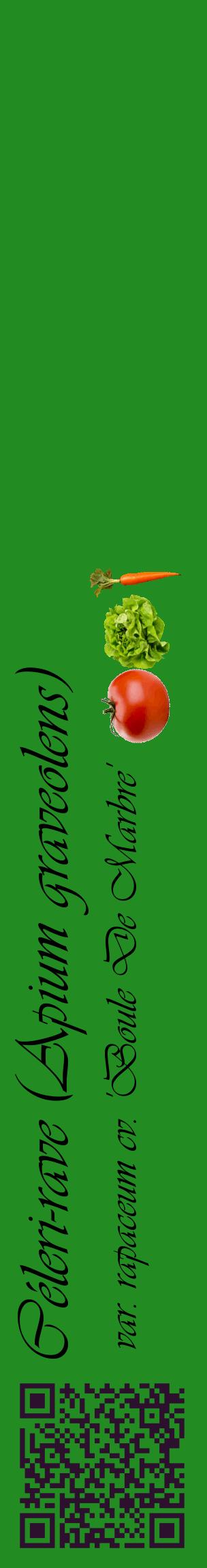 Étiquette de : Apium graveolens var. rapaceum cv. 'Boule De Marbre' - format c - style noire10_basiqueviv avec qrcode et comestibilité simplifiée