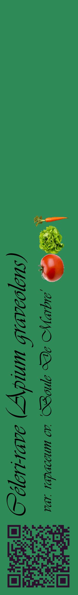 Étiquette de : Apium graveolens var. rapaceum cv. 'Boule De Marbre' - format c - style noire11_basiqueviv avec qrcode et comestibilité simplifiée