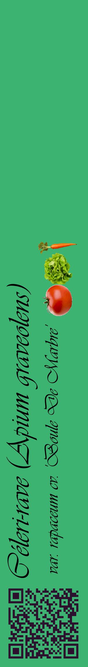 Étiquette de : Apium graveolens var. rapaceum cv. 'Boule De Marbre' - format c - style noire12_basiqueviv avec qrcode et comestibilité simplifiée