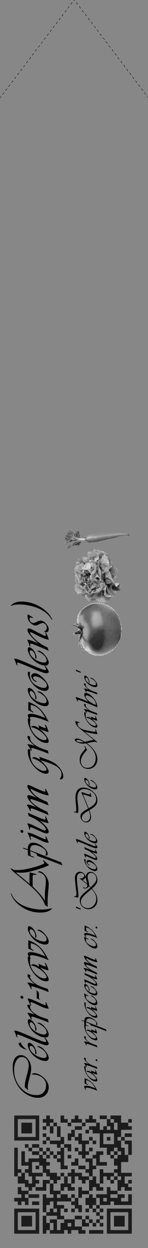 Étiquette de : Apium graveolens var. rapaceum cv. 'Boule De Marbre' - format c - style noire12simple_basique_basiqueviv avec qrcode et comestibilité simplifiée - position verticale