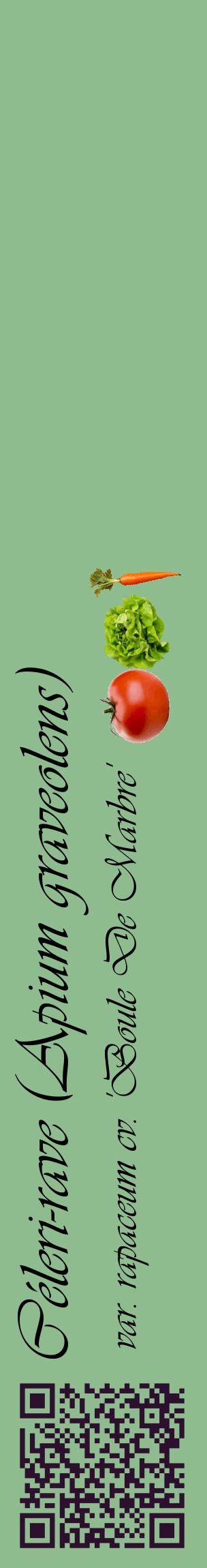 Étiquette de : Apium graveolens var. rapaceum cv. 'Boule De Marbre' - format c - style noire13_basiqueviv avec qrcode et comestibilité simplifiée