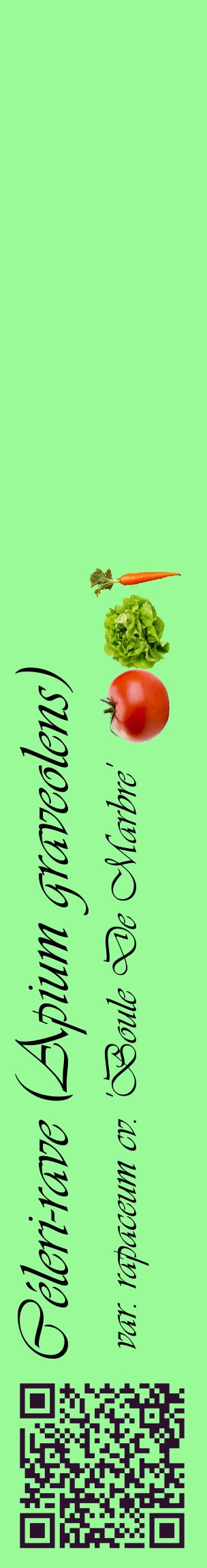 Étiquette de : Apium graveolens var. rapaceum cv. 'Boule De Marbre' - format c - style noire14_basiqueviv avec qrcode et comestibilité simplifiée