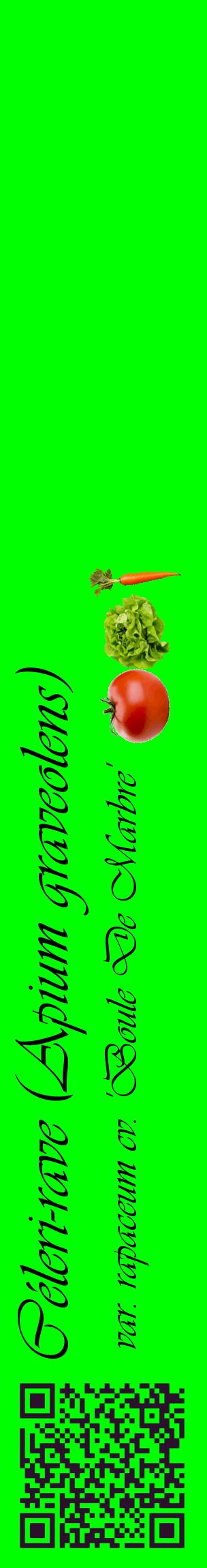 Étiquette de : Apium graveolens var. rapaceum cv. 'Boule De Marbre' - format c - style noire16_basiqueviv avec qrcode et comestibilité simplifiée