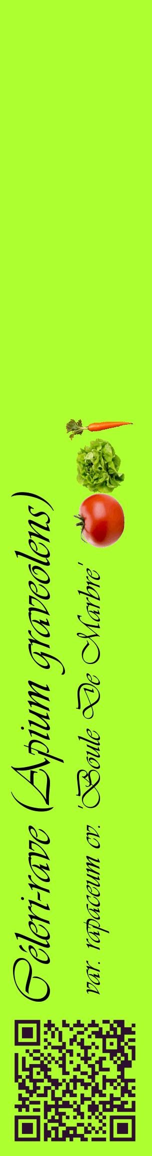 Étiquette de : Apium graveolens var. rapaceum cv. 'Boule De Marbre' - format c - style noire17_basiqueviv avec qrcode et comestibilité simplifiée
