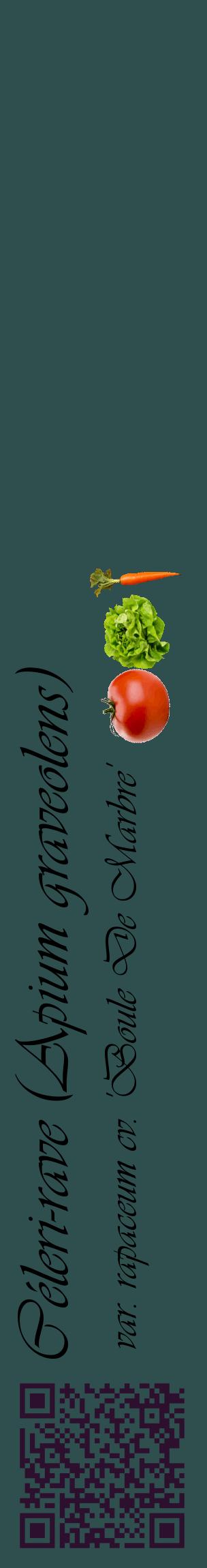 Étiquette de : Apium graveolens var. rapaceum cv. 'Boule De Marbre' - format c - style noire58_basiqueviv avec qrcode et comestibilité simplifiée