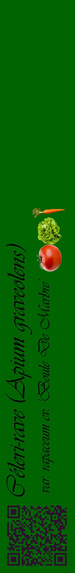 Étiquette de : Apium graveolens var. rapaceum cv. 'Boule De Marbre' - format c - style noire8_basiqueviv avec qrcode et comestibilité simplifiée