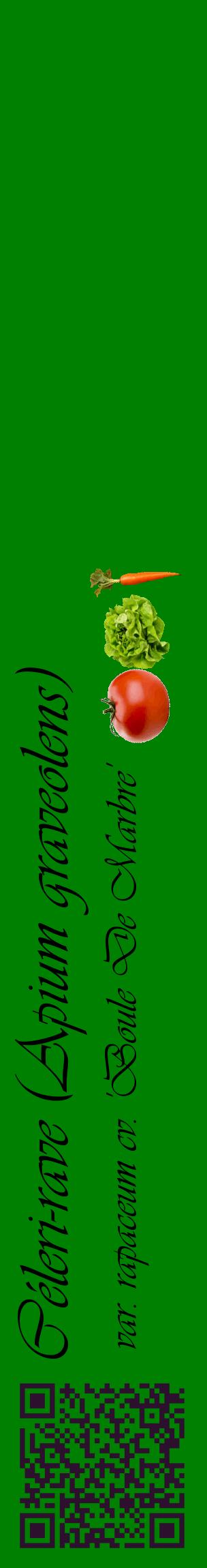Étiquette de : Apium graveolens var. rapaceum cv. 'Boule De Marbre' - format c - style noire9_basiqueviv avec qrcode et comestibilité simplifiée