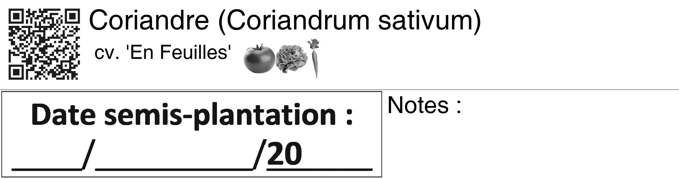 Étiquette de : Coriandrum sativum cv. 'En Feuilles' - format c - style noire60_basiquegrrvhel avec qrcode et comestibilité simplifiée