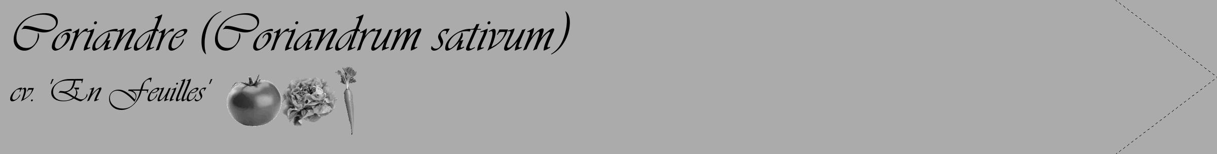 Étiquette de : Coriandrum sativum cv. 'En Feuilles' - format c - style noire37_simple_simpleviv avec comestibilité simplifiée