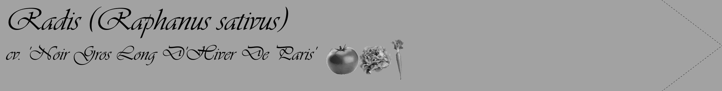 Étiquette de : Raphanus sativus cv. 'Noir Gros Long D'Hiver De Paris' - format c - style noire38_simple_simpleviv avec comestibilité simplifiée