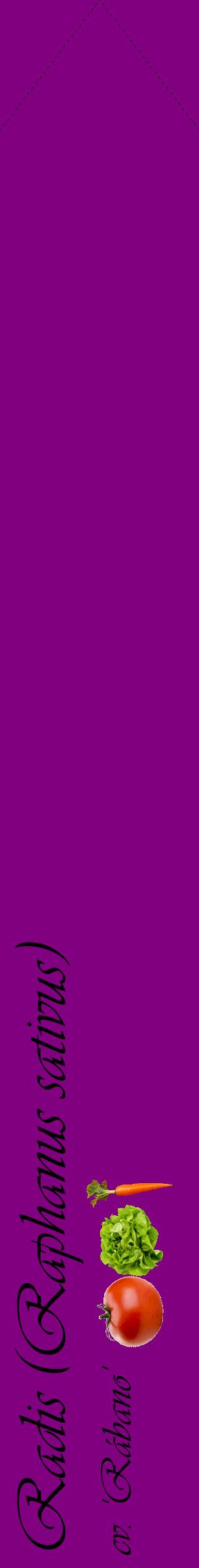 Étiquette de : Raphanus sativus cv. 'Rábano' - format c - style noire46_simpleviv avec comestibilité simplifiée