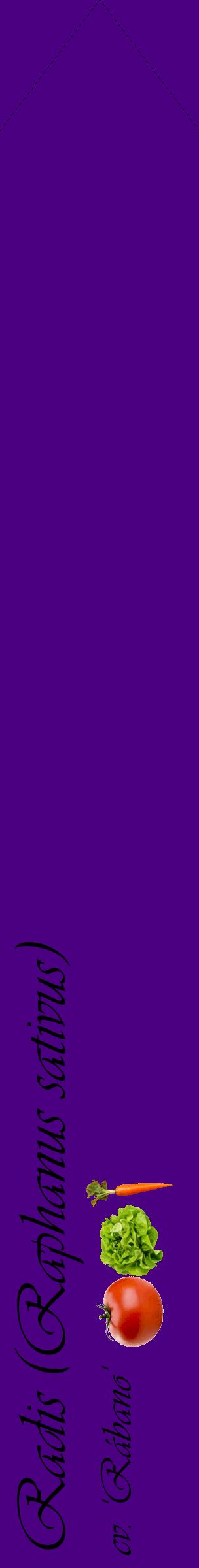 Étiquette de : Raphanus sativus cv. 'Rábano' - format c - style noire47_simpleviv avec comestibilité simplifiée