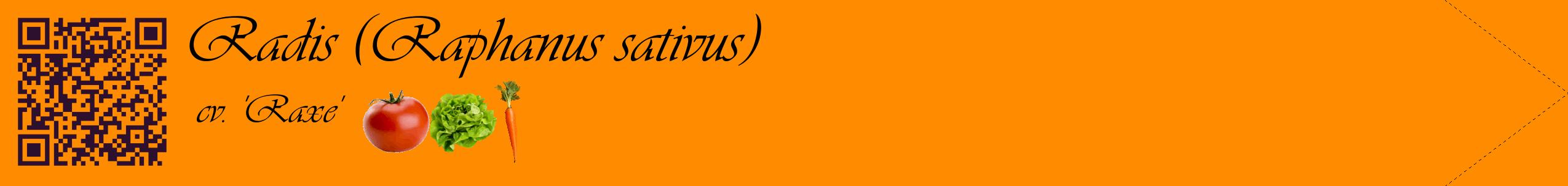 Étiquette de : Raphanus sativus cv. 'Raxe' - format c - style noire23simple_basique_basiqueviv avec qrcode et comestibilité simplifiée
