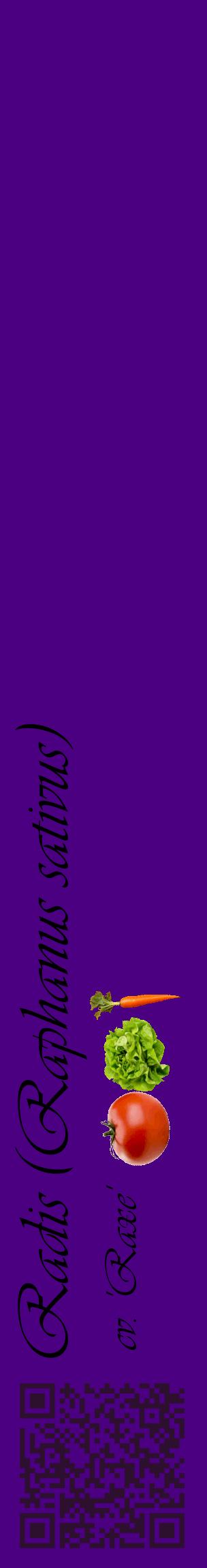 Étiquette de : Raphanus sativus cv. 'Raxe' - format c - style noire47_basiqueviv avec qrcode et comestibilité simplifiée