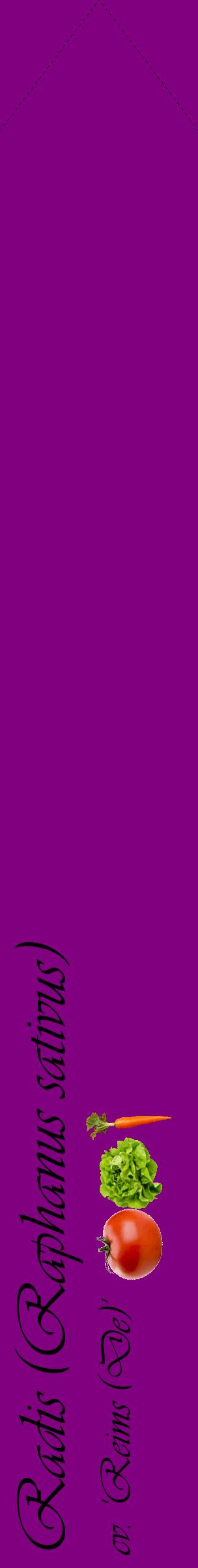 Étiquette de : Raphanus sativus cv. 'Reims (De)' - format c - style noire46_simpleviv avec comestibilité simplifiée