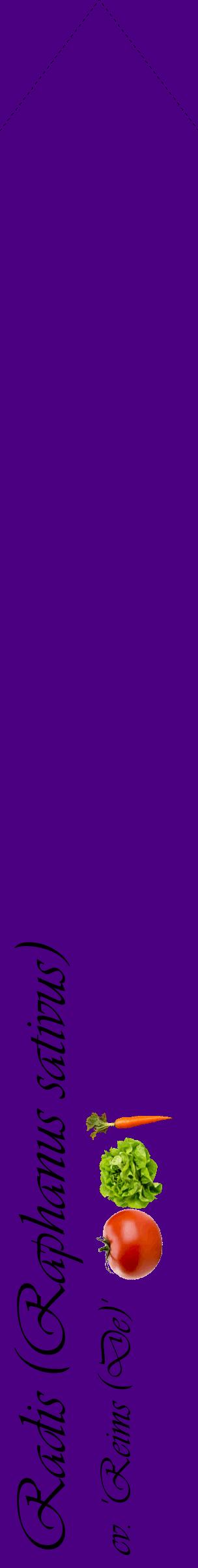 Étiquette de : Raphanus sativus cv. 'Reims (De)' - format c - style noire47_simpleviv avec comestibilité simplifiée