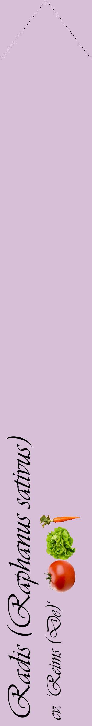 Étiquette de : Raphanus sativus cv. 'Reims (De)' - format c - style noire54_simpleviv avec comestibilité simplifiée