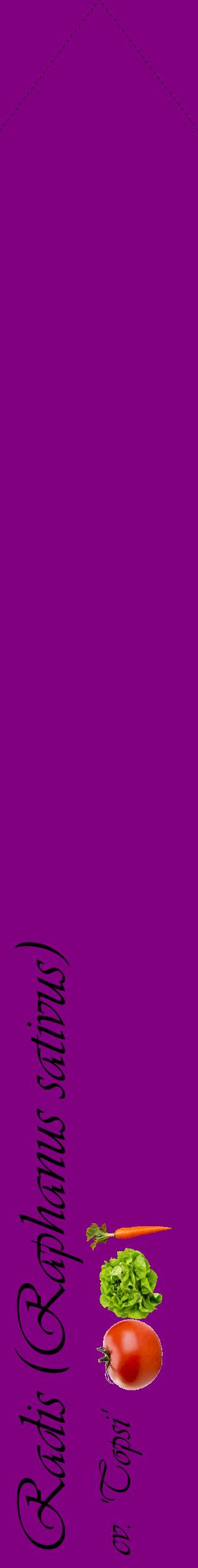 Étiquette de : Raphanus sativus cv. 'Topsi' - format c - style noire46_simpleviv avec comestibilité simplifiée