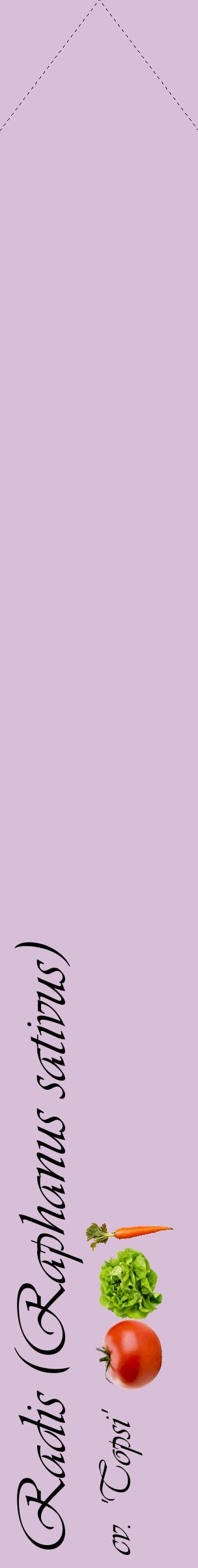 Étiquette de : Raphanus sativus cv. 'Topsi' - format c - style noire54_simpleviv avec comestibilité simplifiée