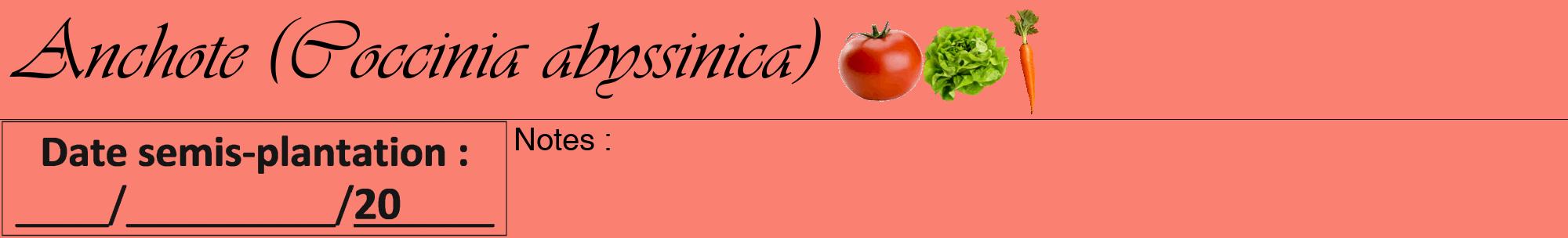 Étiquette de : Coccinia abyssinica - format a - style noire38viv avec comestibilité simplifiée