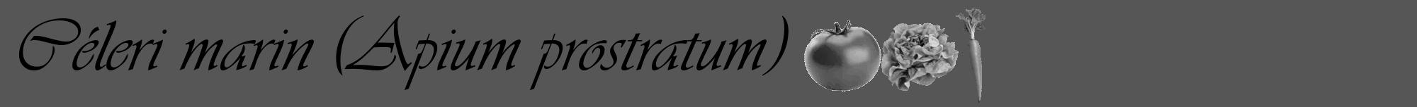 Étiquette de : Apium prostratum - format a - style noire45viv avec comestibilité simplifiée