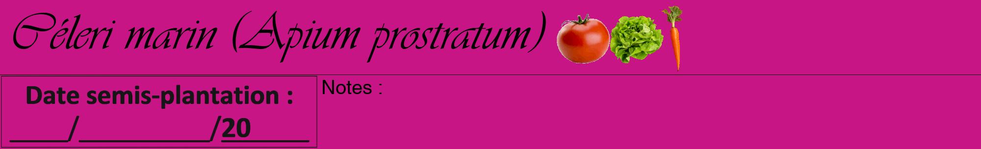 Étiquette de : Apium prostratum - format a - style noire45viv avec comestibilité simplifiée