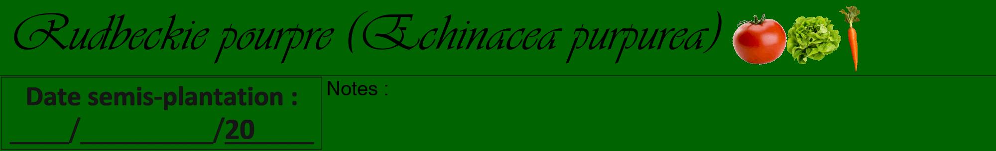 Étiquette de : Echinacea purpurea - format a - style noire8viv avec comestibilité simplifiée