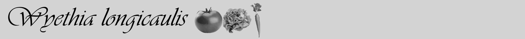 Étiquette de : Wyethia longicaulis - format a - style noire56viv avec comestibilité simplifiée