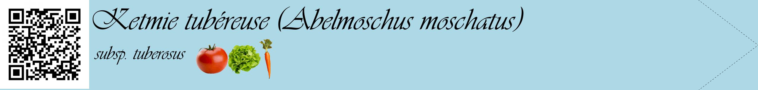 Étiquette de : Abelmoschus moschatus subsp. tuberosus - format c - style noire0simple_basique_basiqueviv avec qrcode et comestibilité simplifiée