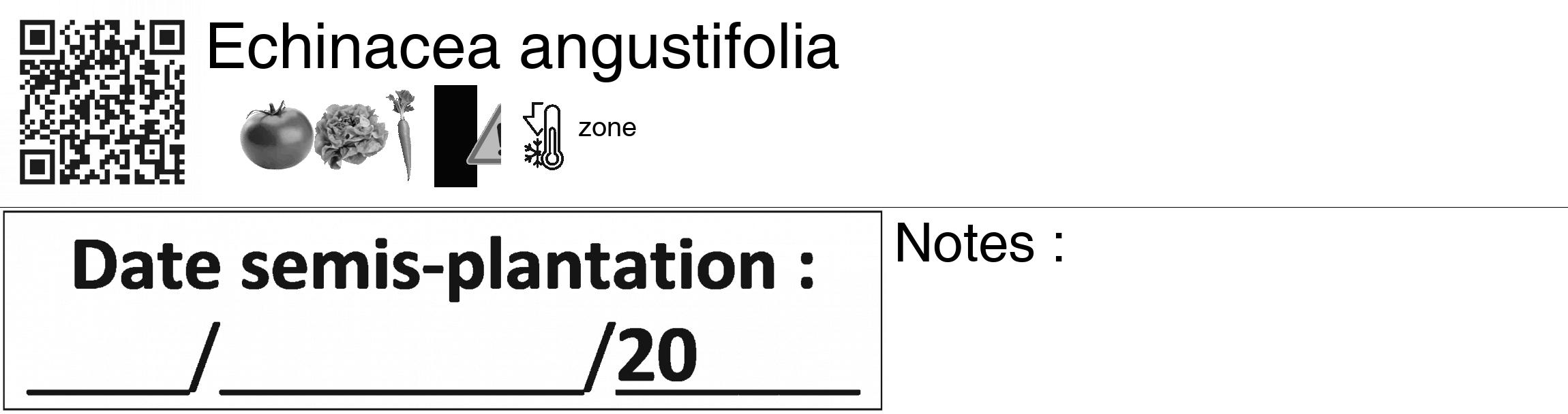 Étiquette de : Echinacea angustifolia - format c - style noire60_basiquegrrvhel avec qrcode et comestibilité simplifiée