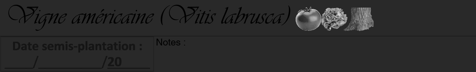 Étiquette de : Vitis labrusca - format a - style noire34viv avec comestibilité simplifiée
