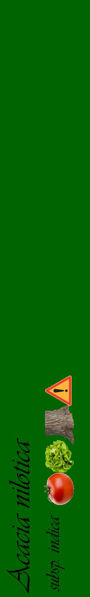 Étiquette de : Acacia nilotica subsp. indica - format c - style noire8_basiqueviv avec comestibilité simplifiée