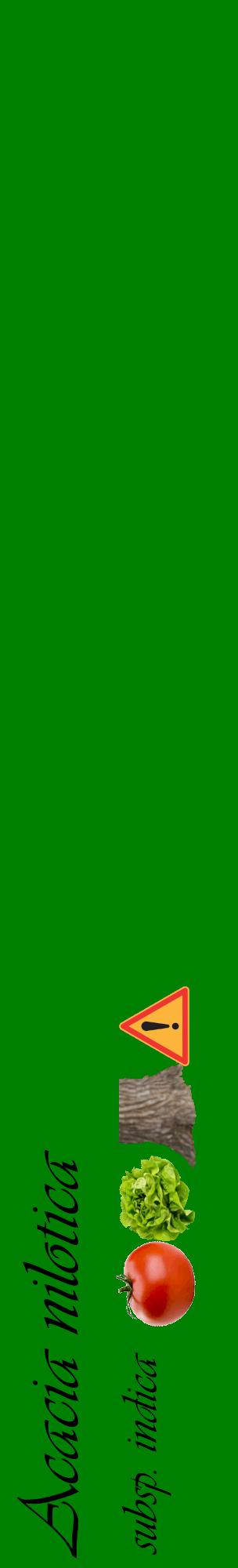 Étiquette de : Acacia nilotica subsp. indica - format c - style noire9_basiqueviv avec comestibilité simplifiée