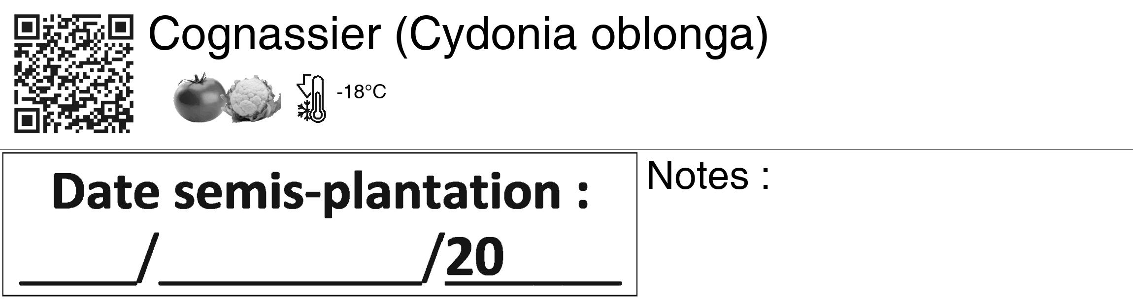 Étiquette de : Cydonia oblonga - format c - style noire60_basiquegrrvhel avec qrcode et comestibilité simplifiée