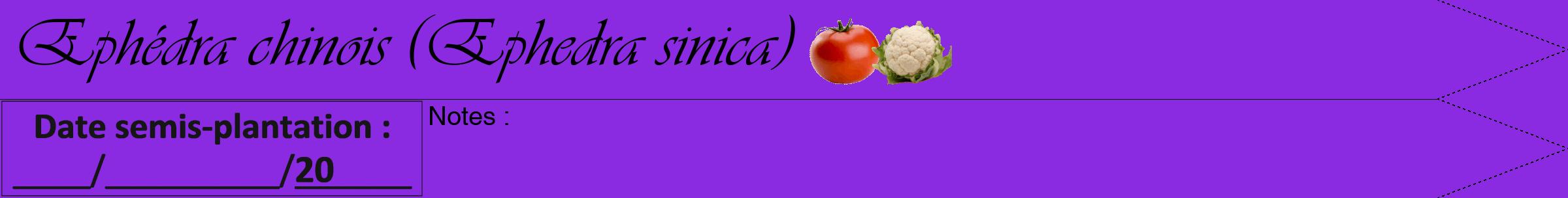 Étiquette de : Ephedra sinica - format a - style noire49simpleviv avec comestibilité simplifiée