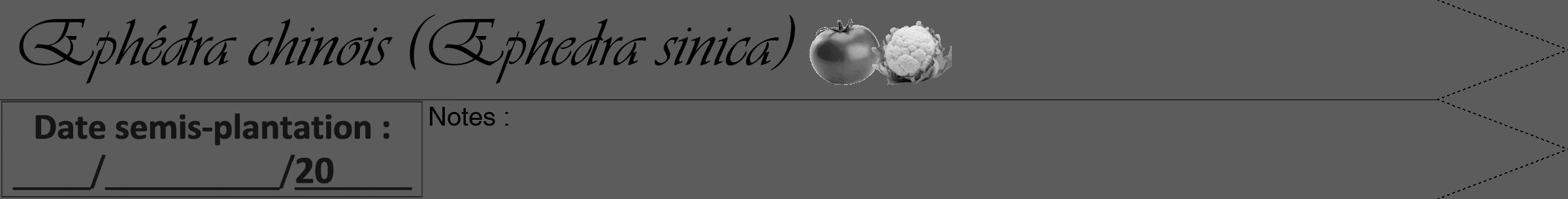 Étiquette de : Ephedra sinica - format a - style noire49simpleviv avec comestibilité simplifiée